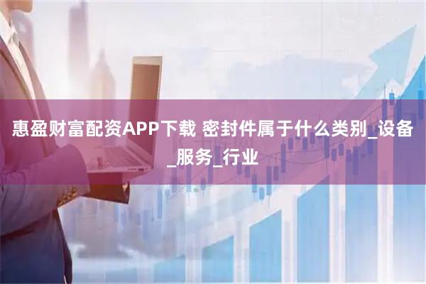 惠盈财富配资APP下载 密封件属于什么类别_设备_服务_行业